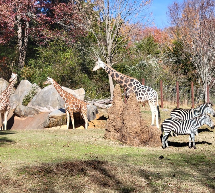 North Carolina Zoo (Asheboro,&nbspNC)